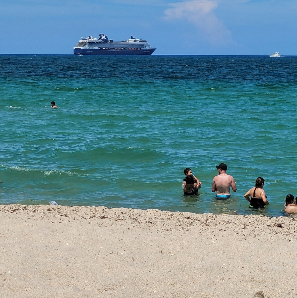 Meet your Posher, Marley